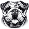 English Bulldog Dog