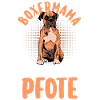 Dog German Boxer