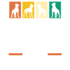 Dog German Boxer