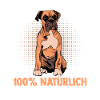 Dog German Boxer