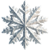 Snowflake Polygon