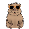 Capybara