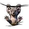 Little Koala Hopper