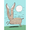 Unknown animal discovered