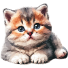Polygone de chaton mignon
