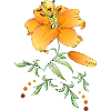 Blume1