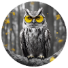 Cool owl sees it all
