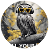 Coole Eule chillt