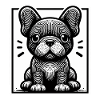 French Bulldog Puppy