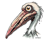 A zombie pelican