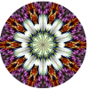 Kaleidoscopic flower star