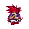 Crazygamerz