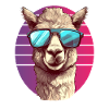 Alpaca with sunglasses