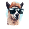 Alpaka mit Sonnenbrille