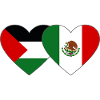 Palestine Mexico Flag Heart Used