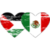 Palestine Mexico Flag Heart