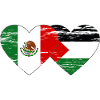Mexico Palestine Flag Heart Used