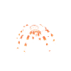 The spider tarantula whisperer