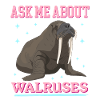 Walrus Walrus Gift