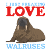 Walrus Walrus Gift