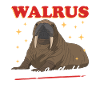 Walrus Walrus Walrus Walrus Gift