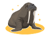 Walrus Walrus | Walrus Walrus Gift