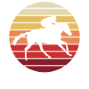 Sunset Race - Horse & Jockey