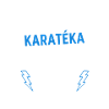 Karateka Awesome