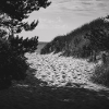 Accès à la plage West Beach Prerow Mer Baltique Darß Poster