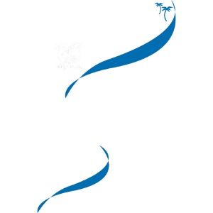 Blue Waves (Blau & Weiss)