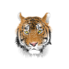 Easy Tiger