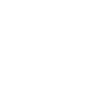 Animal mignon humour otarie