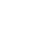 Animal mignon humour otarie
