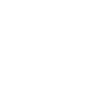 Animal mingon humour otarie