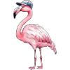 Pink Flamingo with Baseball Cap