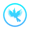 Oiseau Calopsitte Volant