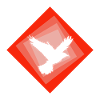 Bird Birds Bird
