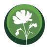 Botany Plants Horticulture