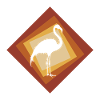 Flamants roses flamants roses