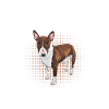 Chien Bull Terrier