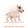 Chien Bull Terrier