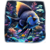 Angelfish