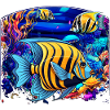Angelfish