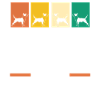 Hund Bullterrier