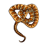 Desert snake
