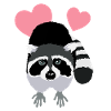 Raccoon Love