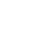 Cerf animal spirituel