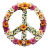 peace,friedenszeichen,peace sign,blumen,bunt