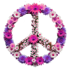 peace,friedenszeichen,peace sign,blumen,bunt