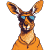Cool Kangaroo